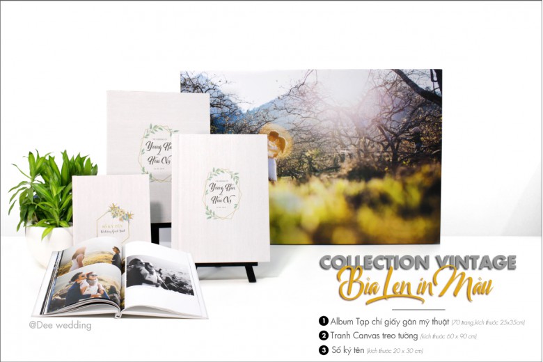 Bộ sưu tập PHOTOBOOK TẠP CHÍ NGHỆ THUẬT_Giấy Art Gân Ne _Bìa Len in màu